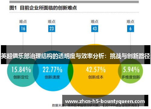 英超俱乐部治理结构的透明度与效率分析：挑战与创新路径